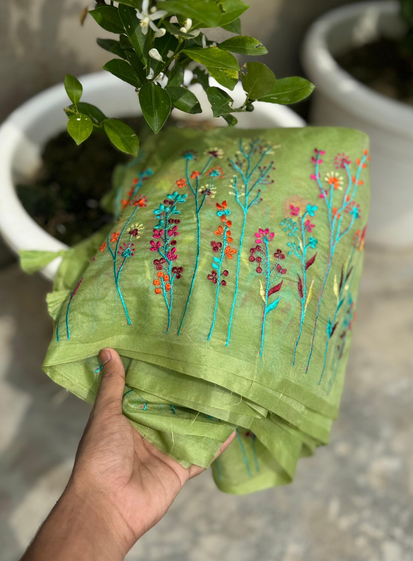 Premium Luxe Banarasi Organza Classic sarees