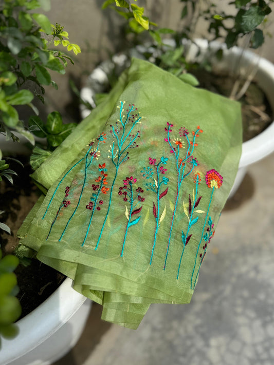 Premium Luxe Banarasi Organza Classic sarees