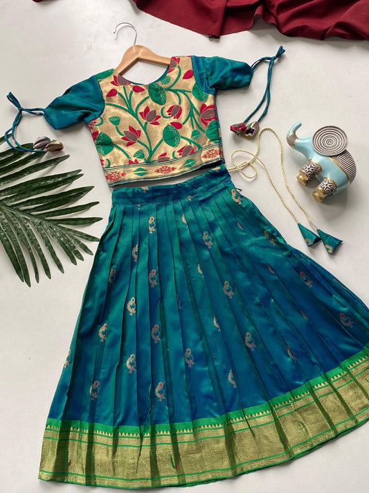 Soft silk with elegant zari gowns