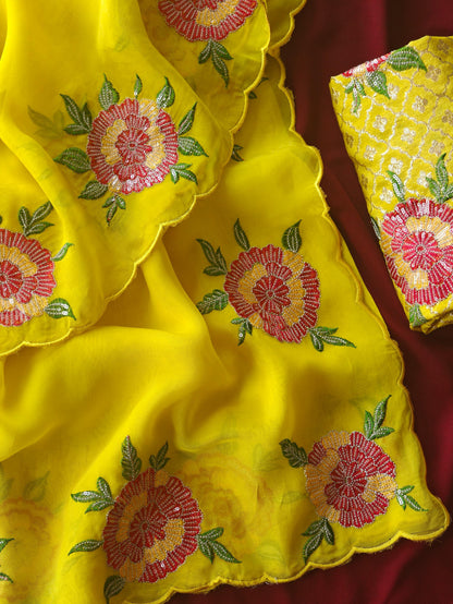 Pure Oraganza Floral Embroidery luxe Saree