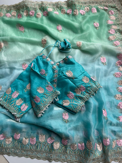 Duel shade classy Embroidery work saree with stitched Blouse