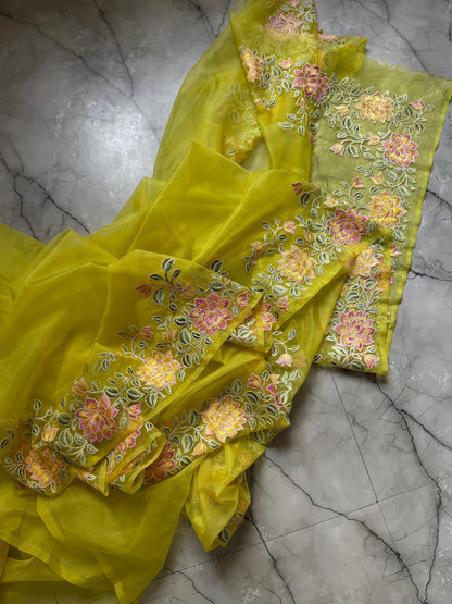 Banarasi Kora organza sarees with embroidery work
