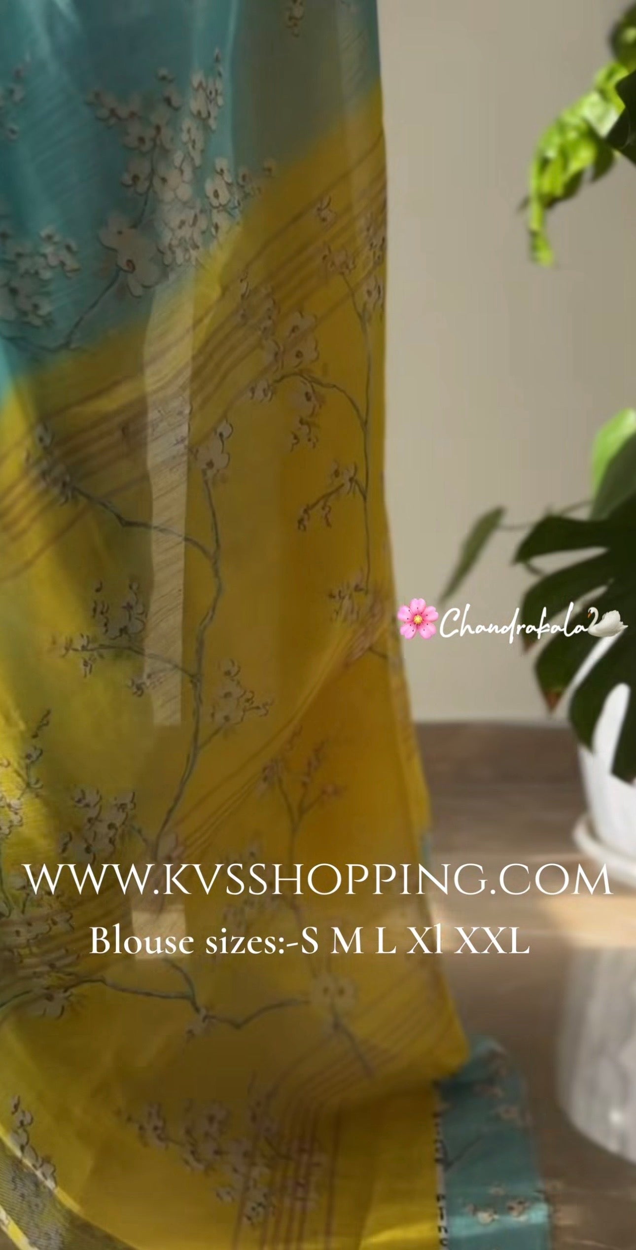 ChandraKala Lenin saree with stitched blouse