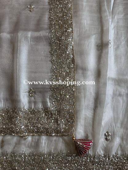 Pure Tissue Sequence Butties saree with stitched Blouse (celebrate inspired)