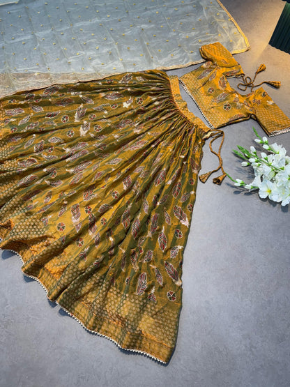 Two tone Designer new Lehenga set