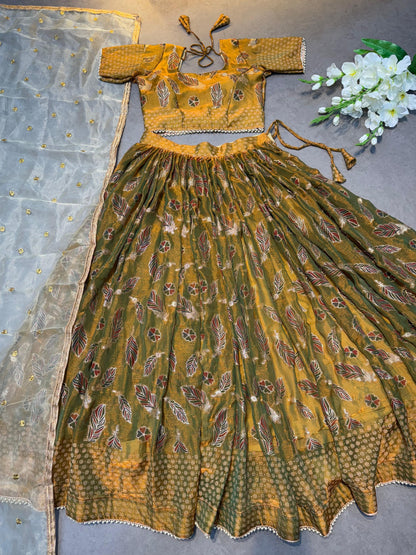 Two tone Designer new Lehenga set