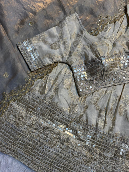 Simmer Silk séquence work Lehenga with stitched Blouse
