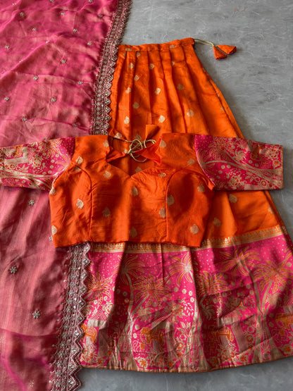 Elephant theme lehenga designer paithani weaving set