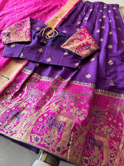 Elephant theme lehenga designer paithani weaving set