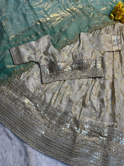 Simmer Silk séquence work Lehenga with stitched Blouse