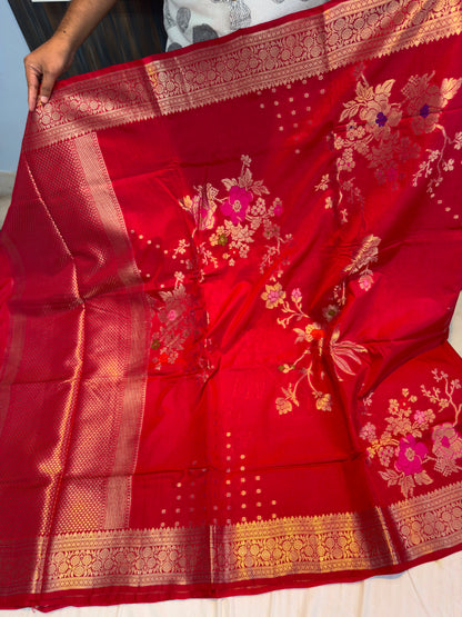 Banarasi alfi minakari big raw mango saree