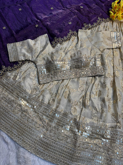 Simmer Silk séquence work Lehenga with stitched Blouse