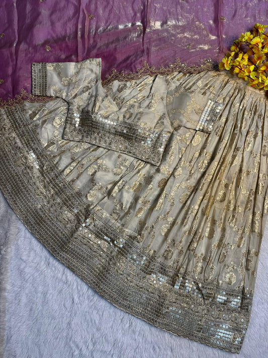 Simmer Silk séquence work Lehenga with stitched Blouse