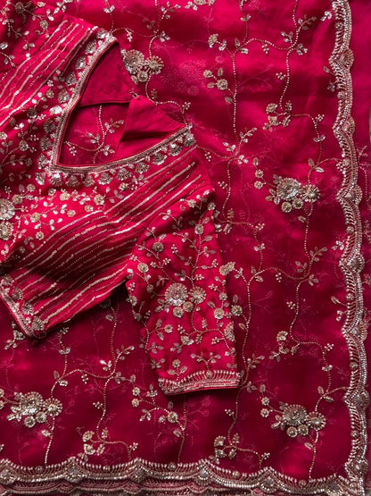 Raspberry Luxe Coctail Handwork saree with stitched blouse