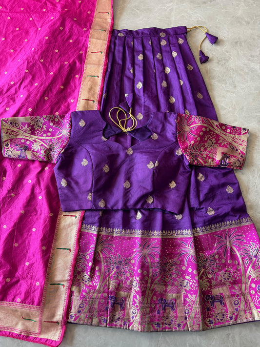 Elephant theme lehenga designer paithani weaving set
