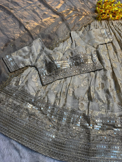 Simmer Silk séquence work Lehenga with stitched Blouse