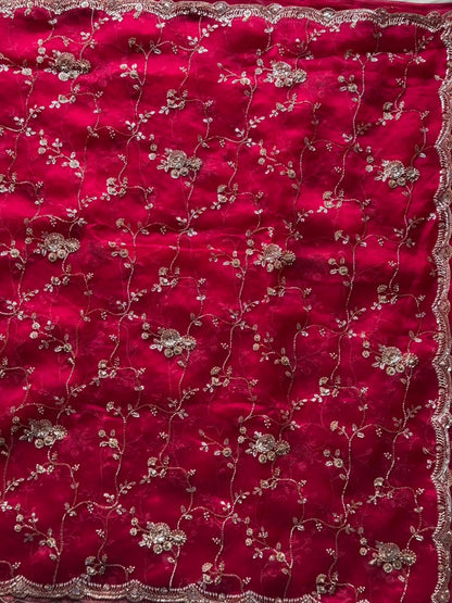 Raspberry Luxe Coctail Handwork saree with stitched blouse