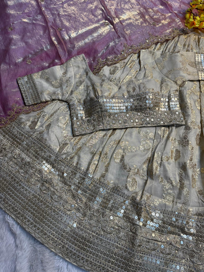 Simmer Silk séquence work Lehenga with stitched Blouse