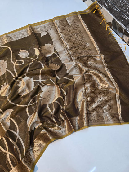 Banarasi mul cotton silk jaal pattern sarees