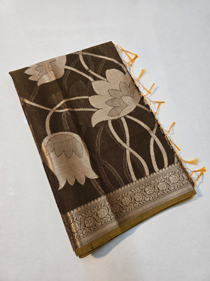 Banarasi mul cotton silk jaal pattern sarees
