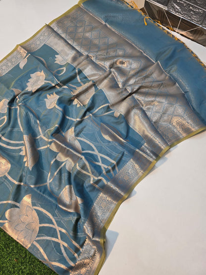 Banarasi mul cotton silk jaal pattern sarees