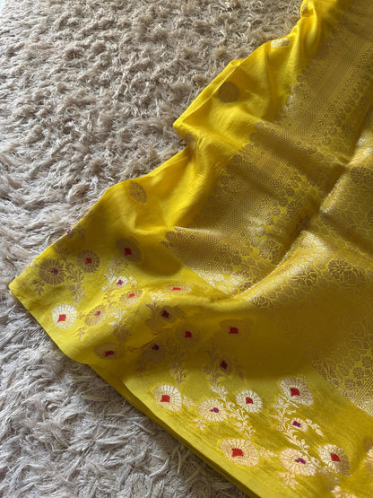 Viscose Banarasi’s budget soft weaving saree
